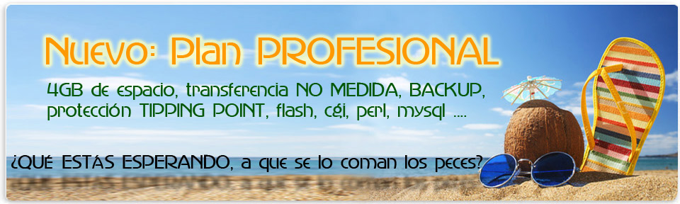 nuevo, plan profesional